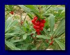 080820-100726-T70K